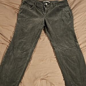 LC Lauren Conrad Olive Straight Leg Pants